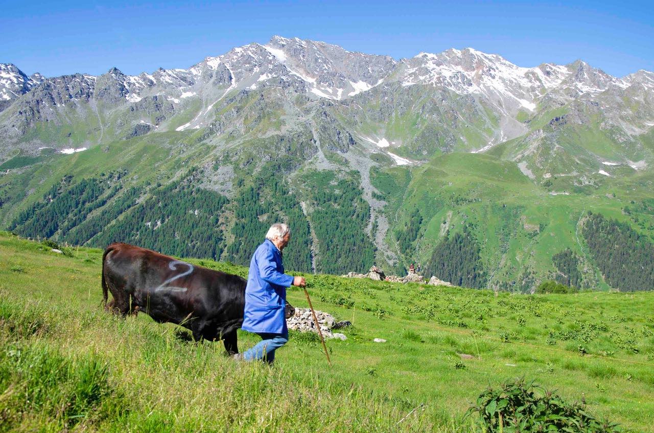 Alpine pasture Val d'Hérens