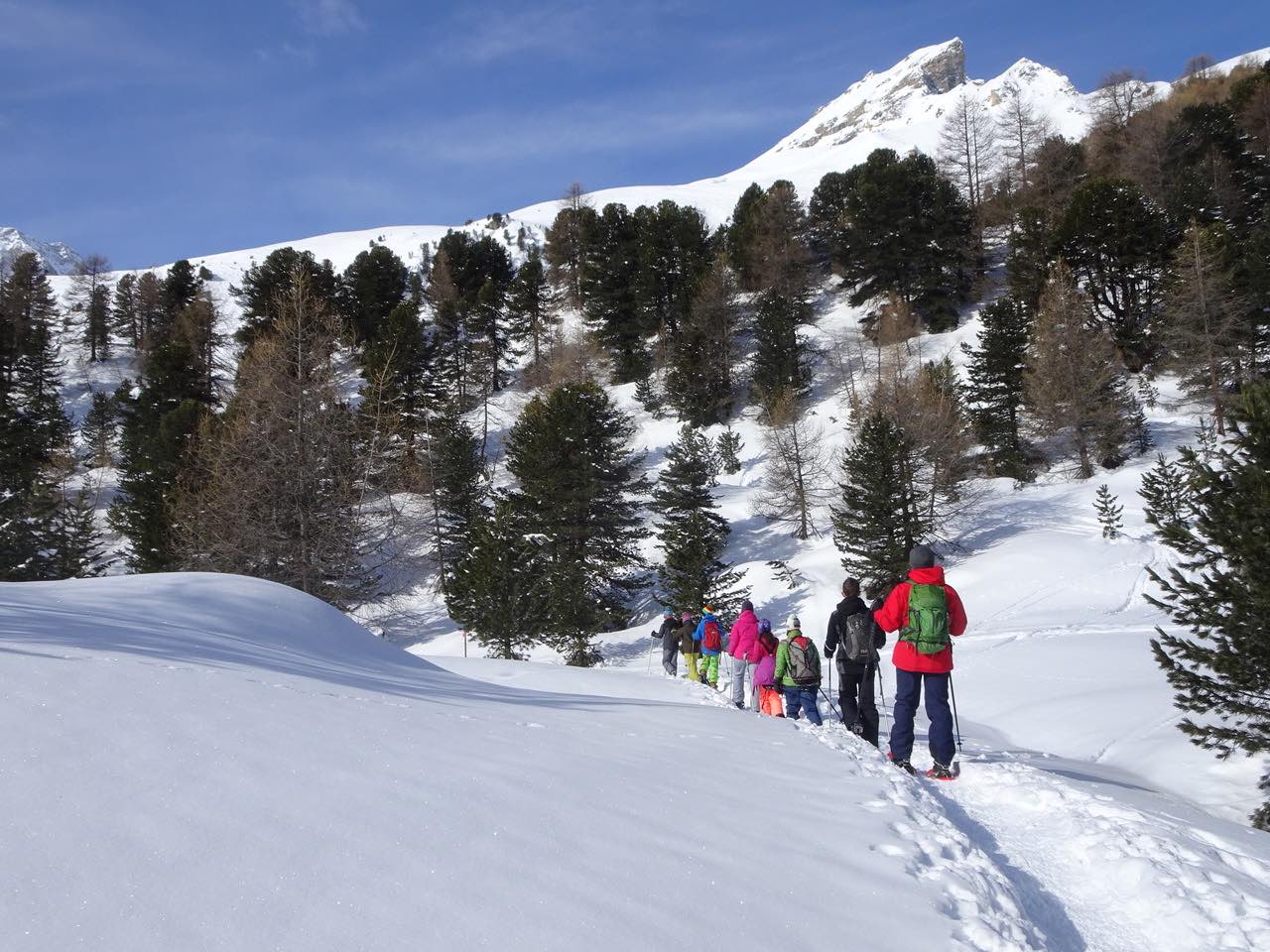 Snowshoe hike in the Val d'Hérens